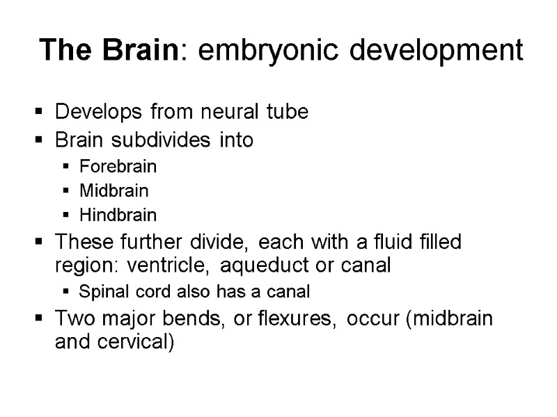 The Brain: embryonic development Develops from neural tube Brain subdivides into  Forebrain Midbrain